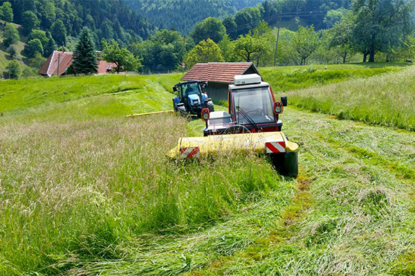 Heuernte im Sommer